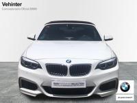 BMW Serie 2 218i Cabrio 100 kW (136 CV)
