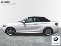 BMW Serie 2 218i Cabrio 100 kW (136 CV)