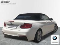 BMW Serie 2 218i Cabrio 100 kW (136 CV)