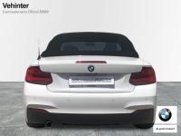 BMW Serie 2 218i Cabrio 100 kW (136 CV)