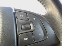 CITROEN C4 Cactus PureTech 110 SS Shine