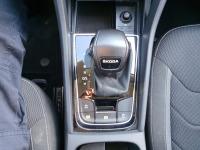 Skoda Kodiaq 2.0 TDI 110KW 150cv DSG 4x2 Ambition