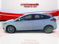 Ford Focus 1.5 TDCi E6 95cv Trend