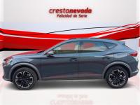 cupra Formentor 2.0 TDI 110kW 150 CV