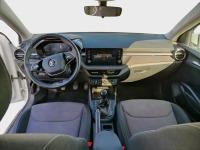 Skoda Fabia 1.0 MPI 59KW 80CV SelectionZen Blue dCi 110kW 150CV 4x4