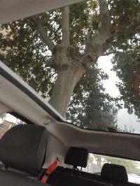 CITROEN C4 Cactus PureTech 110cv SS Rip Curl