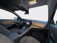 Ds Ds 7 Crossback BlueHDi 96kW 130CV SO CHICb