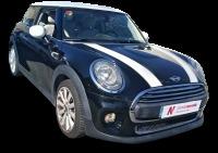 Mini Mini One