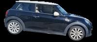 Mini Mini One