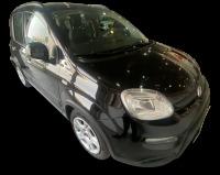 Fiat Panda City Life Hybrid 1.0 Gse 51kw 70CV