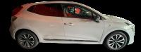 Renault Clio techno EcoG 100cv 74kW