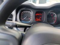 Fiat Panda City Life Hybrid 1.0 Gse 51kw 70CV