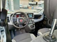 Fiat Panda City Life Hybrid 1.0 Gse 51kw 70CV