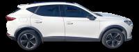 cupra Formentor 1.5 TSI 110kW 150 CV DSG
