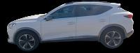 cupra Formentor 1.5 TSI 110kW 150 CV DSG