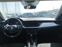 Skoda Kamiq 1.0 TSI 81kW 110CV DSG Ambition