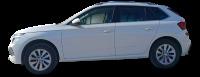 Skoda Kamiq 1.0 TSI 85kW 115CV SELECTION