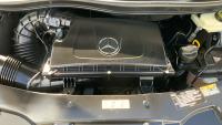 Mercedes-Benz Clase V 250 Bluetec Avantgarde Extralargo