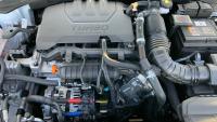 Kia Ceed 1.0 MHEV 74kW (100CV) Drive DCT