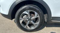 Kia Xceed 1.6 MHEV iMT Drive 100kW (136CV)