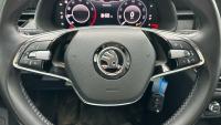 Skoda Scala 1.0 TSI 81KW (110 CV) Ambition