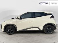BYD Dolphin Surf Boost