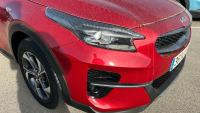 Kia Xceed 1.0 T-GDi Drive 88kW (120CV)