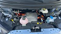 BYD Dolphin Surf Comfort