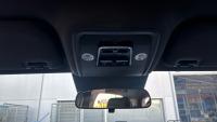 BYD Dolphin Surf Comfort