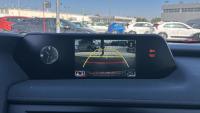 Lexus Ux 2.0 250h Premium