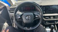 Skoda Kamiq 1.0 TSI 81kW (110CV) DSG Ambition