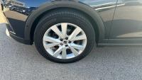Seat Arona 1.0 TSI 81kW (110CV) DSG Xperience