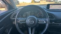 Mazda Cx-30 CX-30 2.0 E-SKYACTIV-X 137KW HOMURA 2WD 186 5P