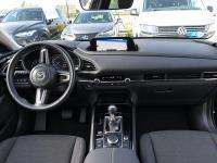 Mazda Cx-30 CX-30 2.0 E-SKYACTIV-G 90KW EVOLUTION 2WD A 122 5P