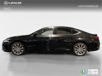 LEXUS Es SEDÁN BUSINESS 2.5 Híbrido Gasolina (218CV) Transm