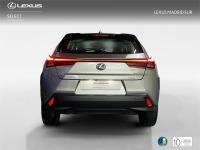 LEXUS Ux SUV BUSINESS 2.0 Híbrido Gasolina Transmisión Auto
