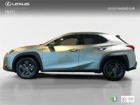 LEXUS Ux SUV BUSINESS 2.0 Híbrido Gasolina Transmisión Auto