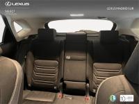 LEXUS Nx SUV SPORT EDITION 2WD 2.5 Híbrido Gasolina (197CV)