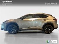LEXUS Nx SUV SPORT EDITION 2WD 2.5 Híbrido Gasolina (197CV)
