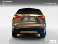 LEXUS Nx SUV SPORT EDITION 2WD 2.5 Híbrido Gasolina (197CV)