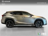 LEXUS Nx SUV SPORT EDITION 2WD 2.5 Híbrido Gasolina (197CV)