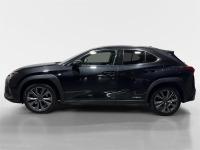 LEXUS Ux 250h F Sport Cuero 2WD