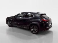 LEXUS Ux 250h F Sport Cuero 2WD