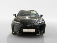 LEXUS Ux 250h F Sport Cuero 2WD