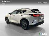LEXUS Nx 350h Business City 4WD