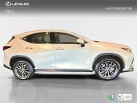 LEXUS Nx 350h Business City 4WD