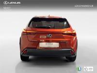 LEXUS Ux SUV BUSINESS 2.0 Híbrido Gasolina Transmisión Auto