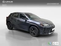 LEXUS Ux SUV PREMIUM 2.0 L Híbrido (2WD)