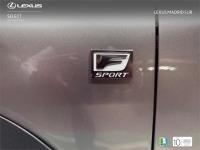 LEXUS Nx F SPORT PANORAMICO