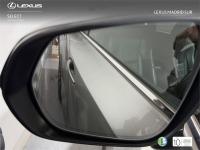 LEXUS Nx F SPORT PANORAMICO